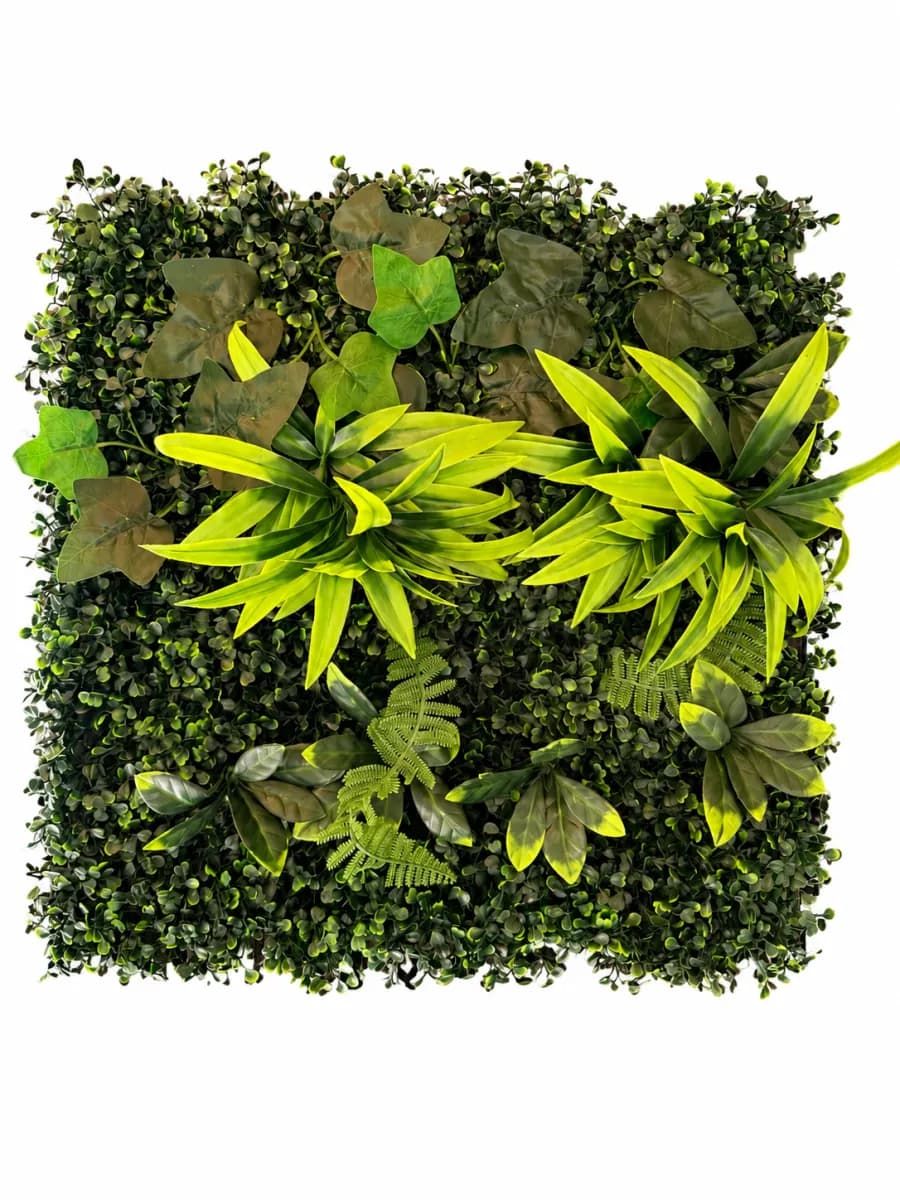 JUNGLE FERN